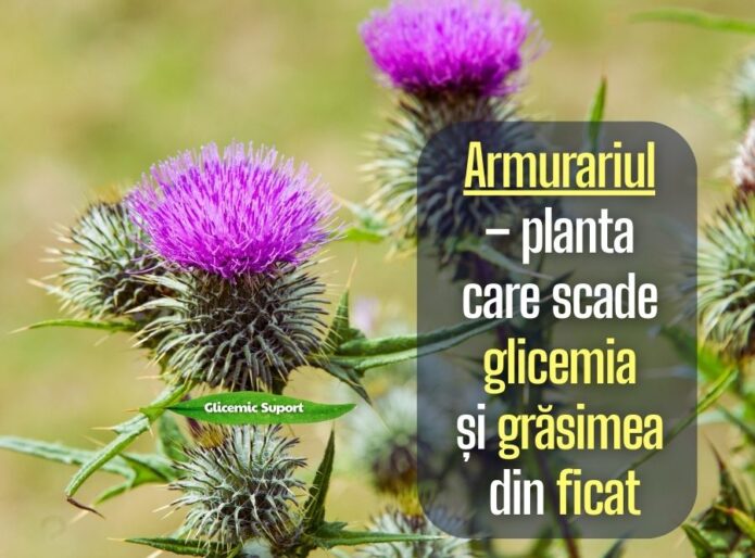 Armurariul - planta care scade glicemia si grasimea din ficat