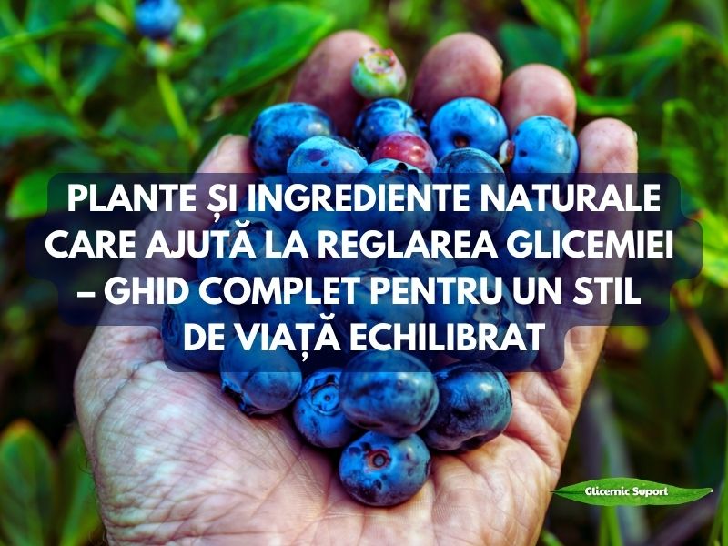 Plante si remedii pentru reglarea glicemiei