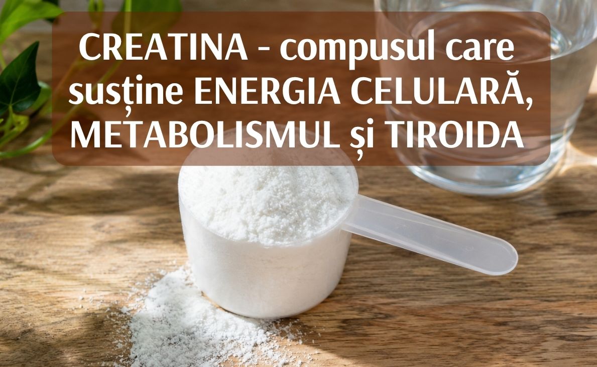 Creatina sustine energia, metabolismul, tiroida