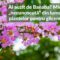 Banaba - planta necunoscuta pentru glicemie