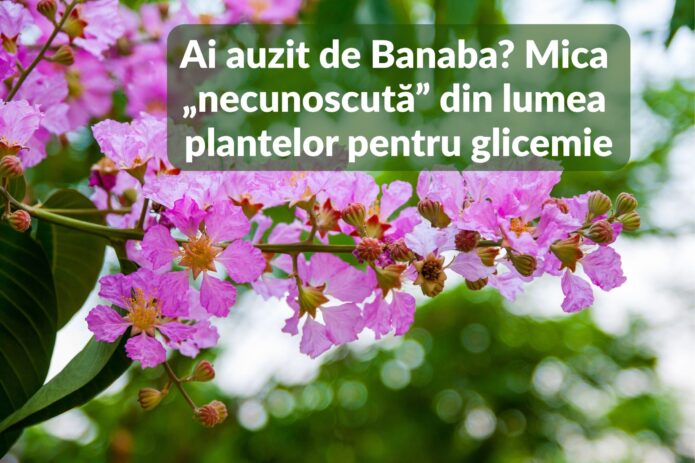Banaba - planta necunoscuta pentru glicemie