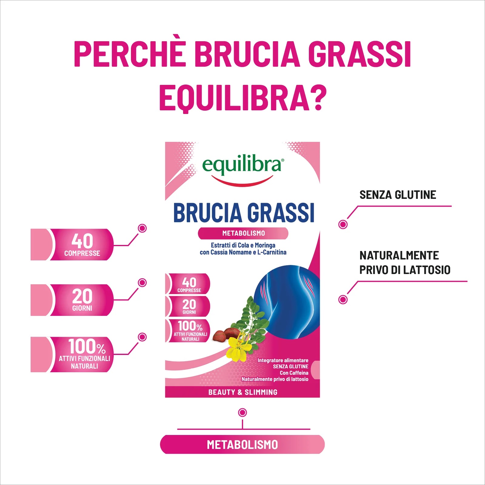 Arzător de Grăsimi, Supliment Alimentar Pentru Arderea Grăsimii și Controlul Greutății Corporale, 40 Comprimate, Equilibra - imagine 2