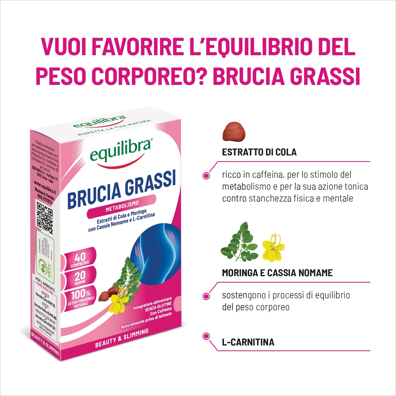 Arzător de Grăsimi, Supliment Alimentar Pentru Arderea Grăsimii și Controlul Greutății Corporale, 40 Comprimate, Equilibra - imagine 5